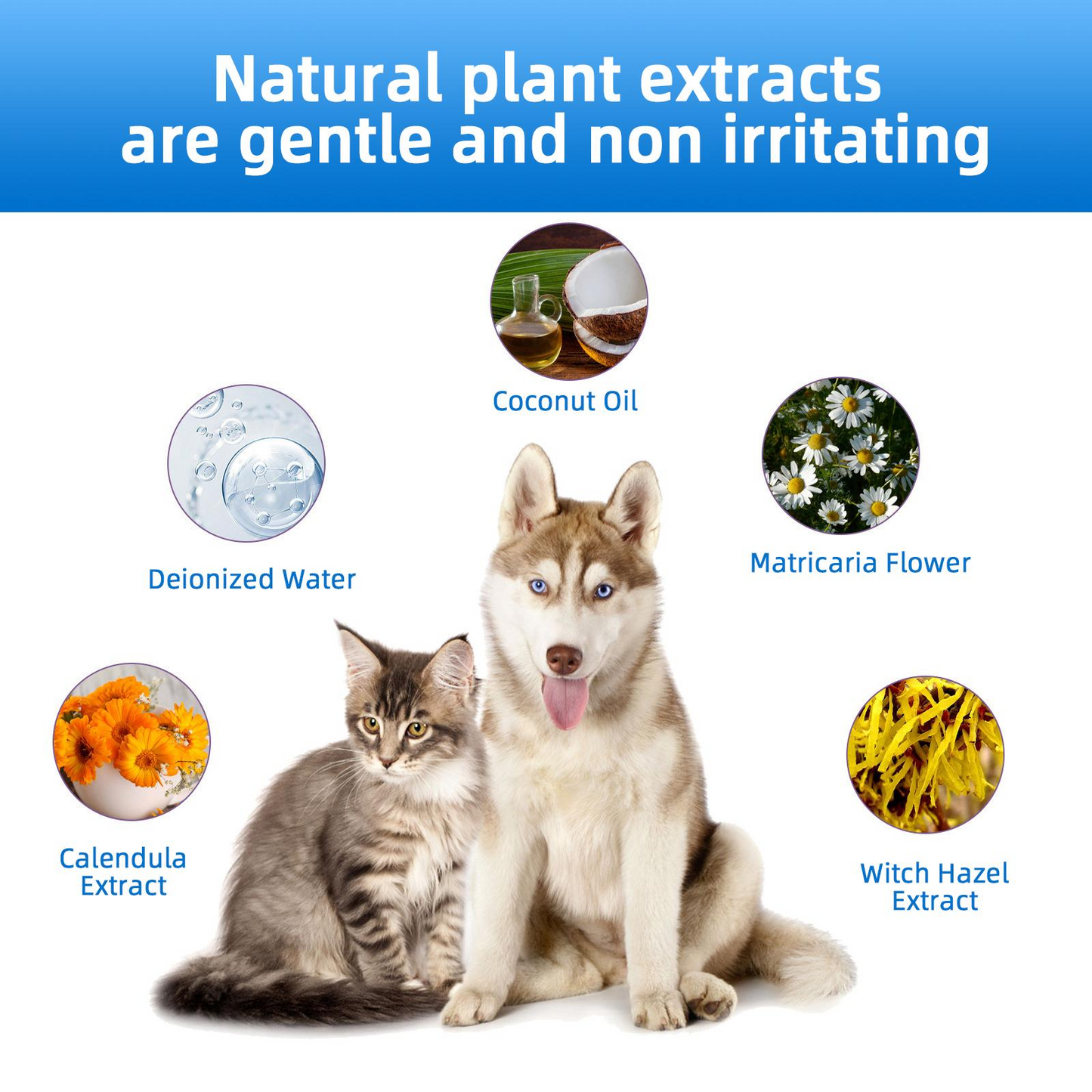 🐶🐱Gentle Pet Ear Wash | Odor-Free Cleaning for Dogs & Cats
