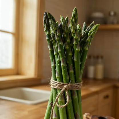 🌿Four Seasons Asparagus Mary Washington Seeds – Perennial, Tender, Nutrient