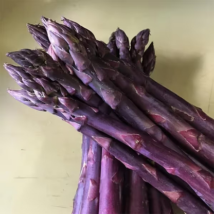🌿Four Seasons Asparagus Mary Washington Seeds – Perennial, Tender, Nutrient
