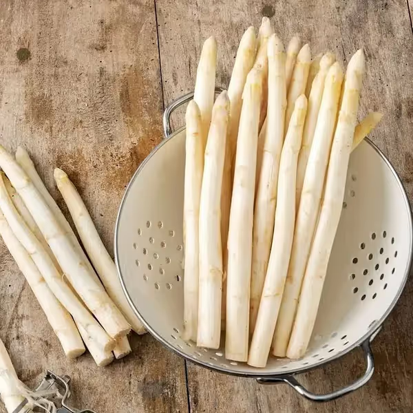 🌿Four Seasons Asparagus Mary Washington Seeds – Perennial, Tender, Nutrient